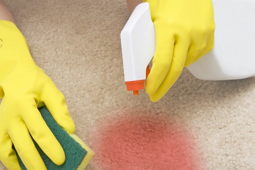 Professional pet stain odour removal in a Tooting home carpet