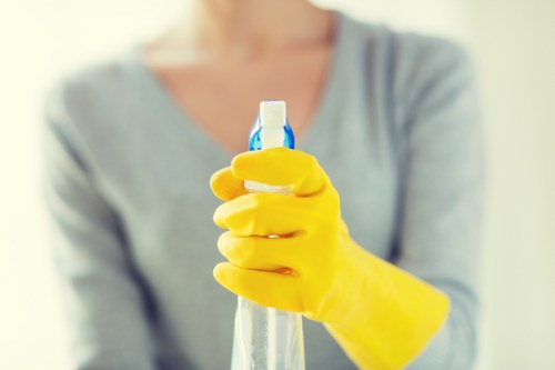 Regular domestic cleaning support for busy households in Tooting