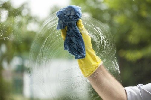 Detailed post-construction dust removal in a Tooting home