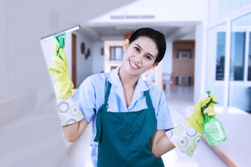 Kitchen and bathroom maintenance as part of regular cleaning in Tooting