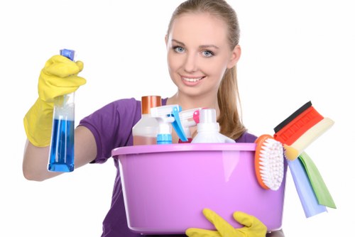 Quote-ready carpet cleaning service for a larger Tooting property